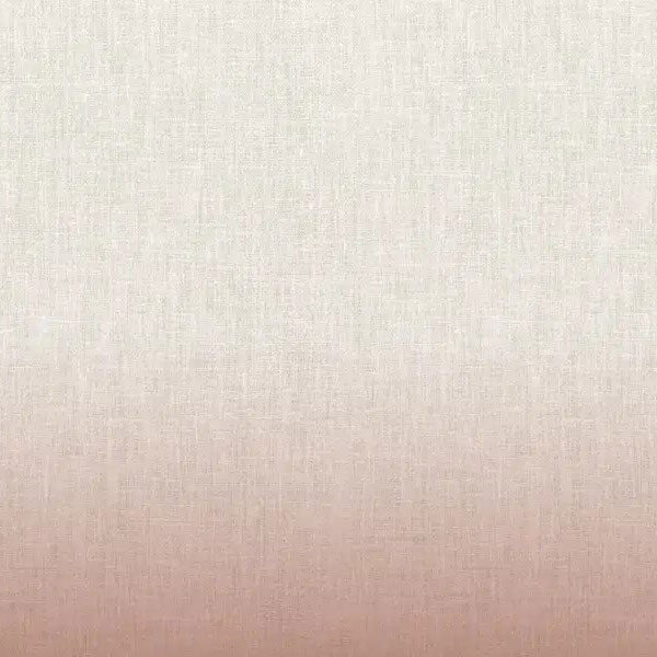 DEGRADÉ|デグレード