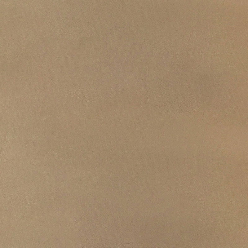 CARANDACHE  21